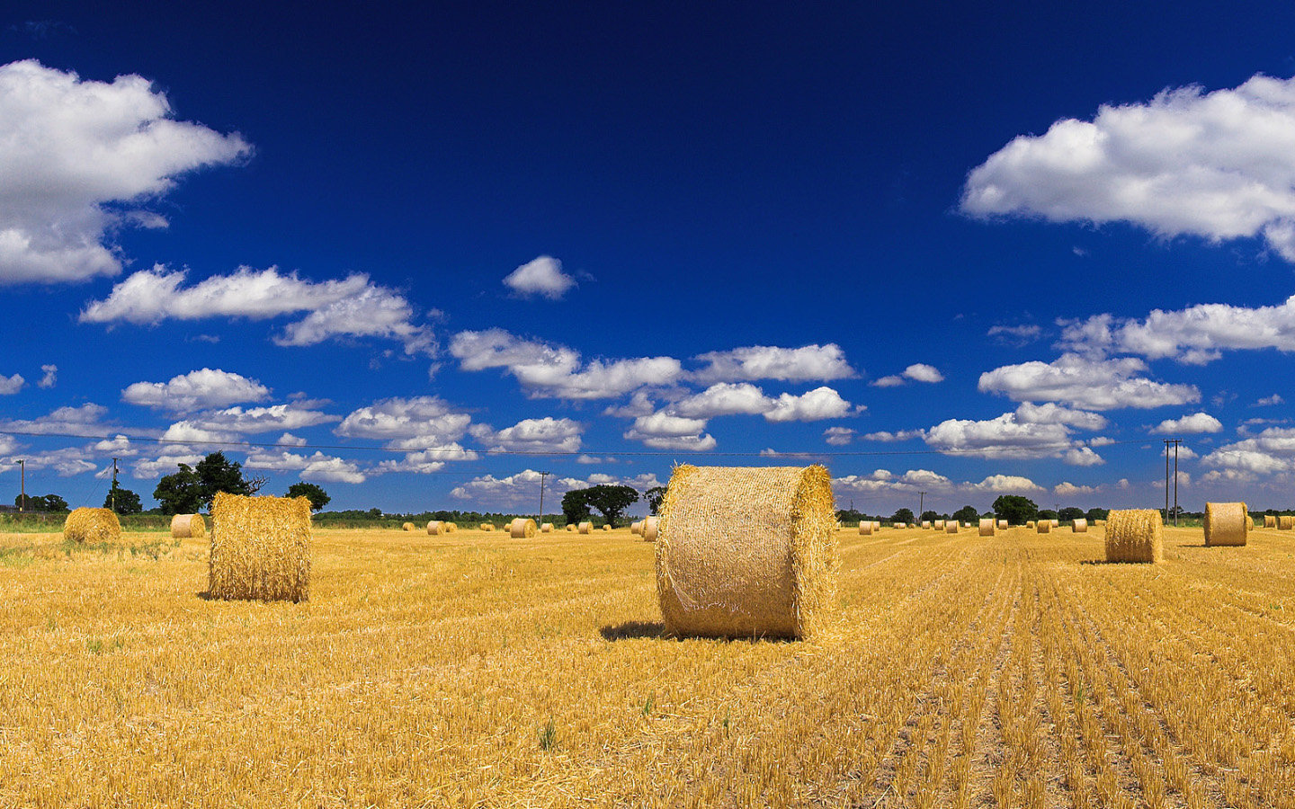 Awesome Field free background ID:70325 for hd 1440x900 desktop