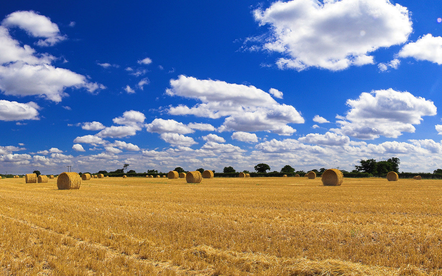 Free download Field background ID:70339 hd 1440x900 for computer
