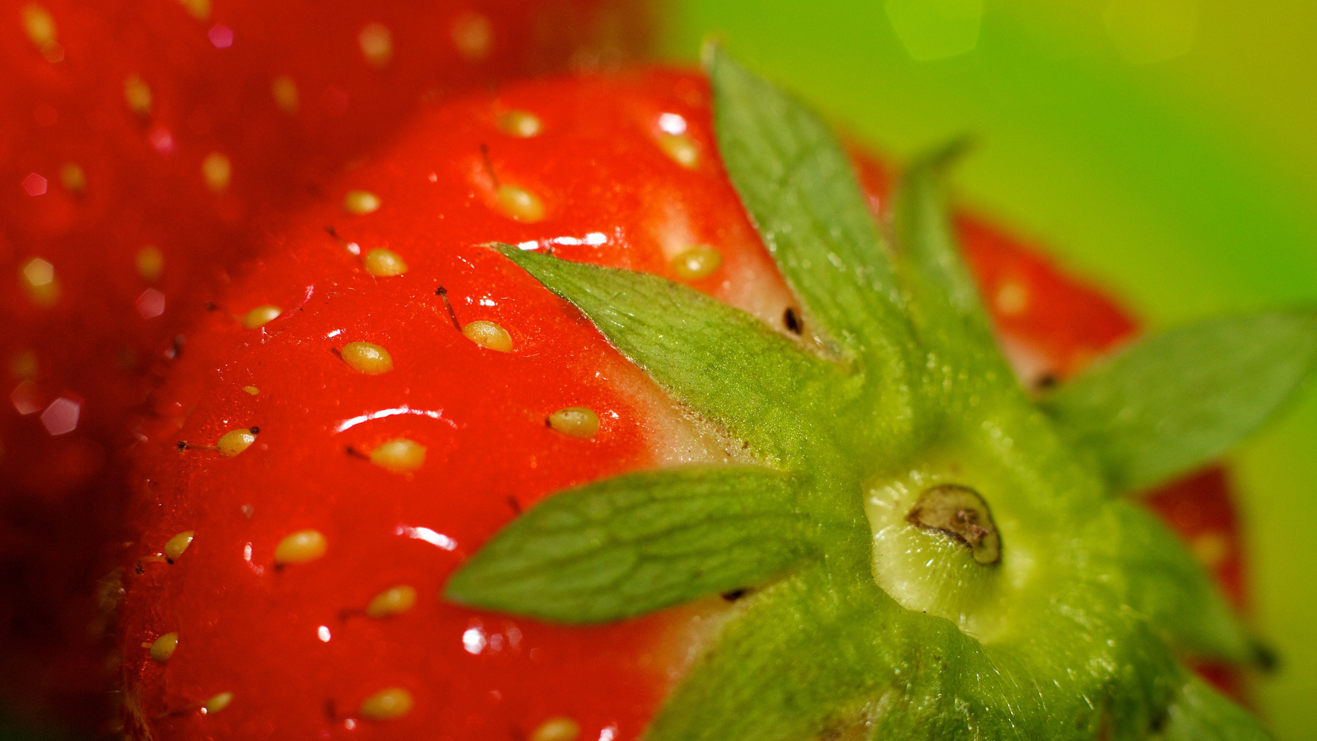 High resolution Strawberry hd 2560x1440 background ID:90994 for computer