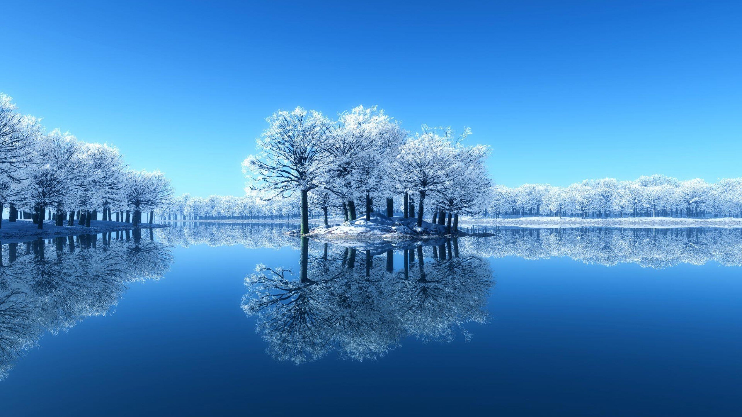 Download hd 2560x1440 Winter computer background ID:250719 for free