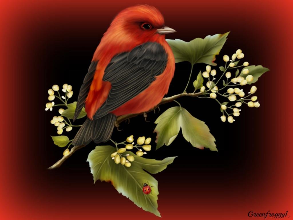 Awesome Bird free wallpaper ID:405110 for hd 1024x768 desktop