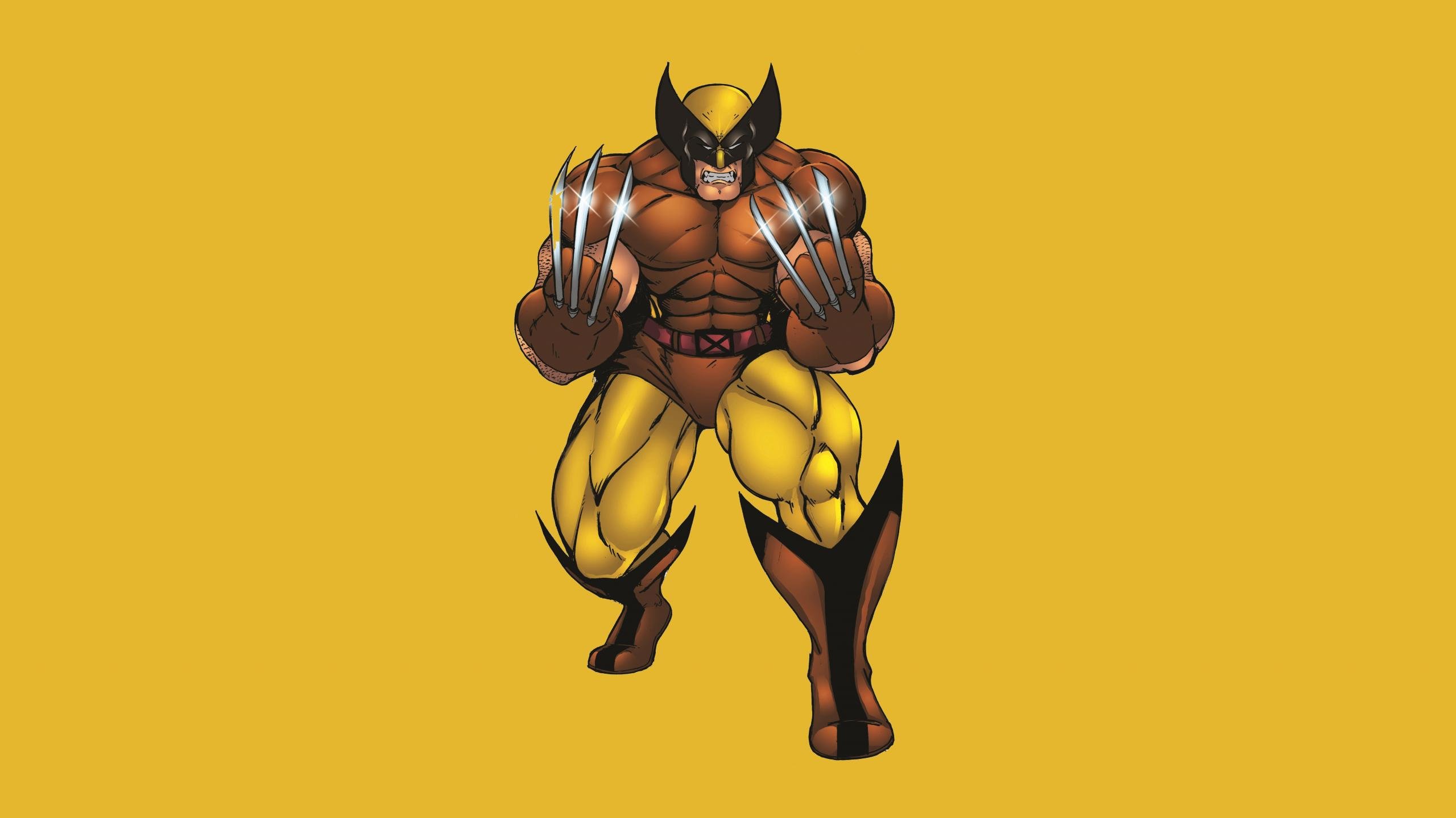 High resolution Wolverine hd 2560x1440 background ID:276657 for computer