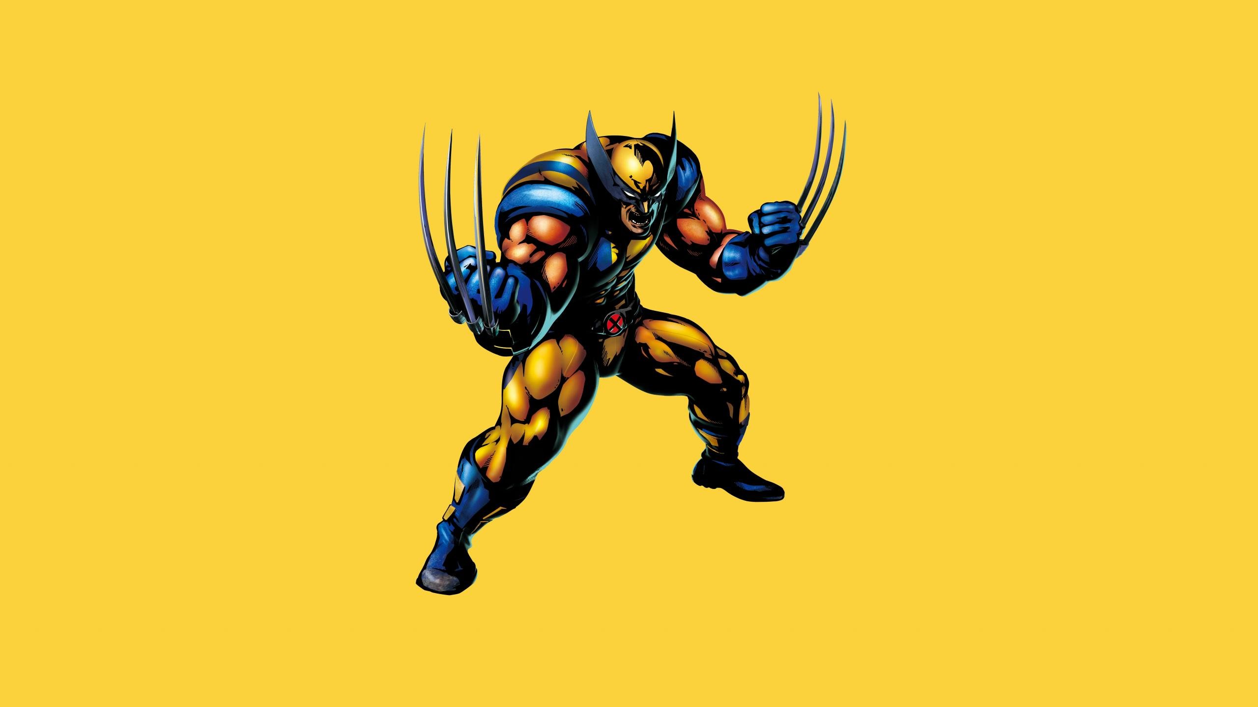 Best Wolverine wallpaper ID:276659 for High Resolution hd 2560x1440 PC