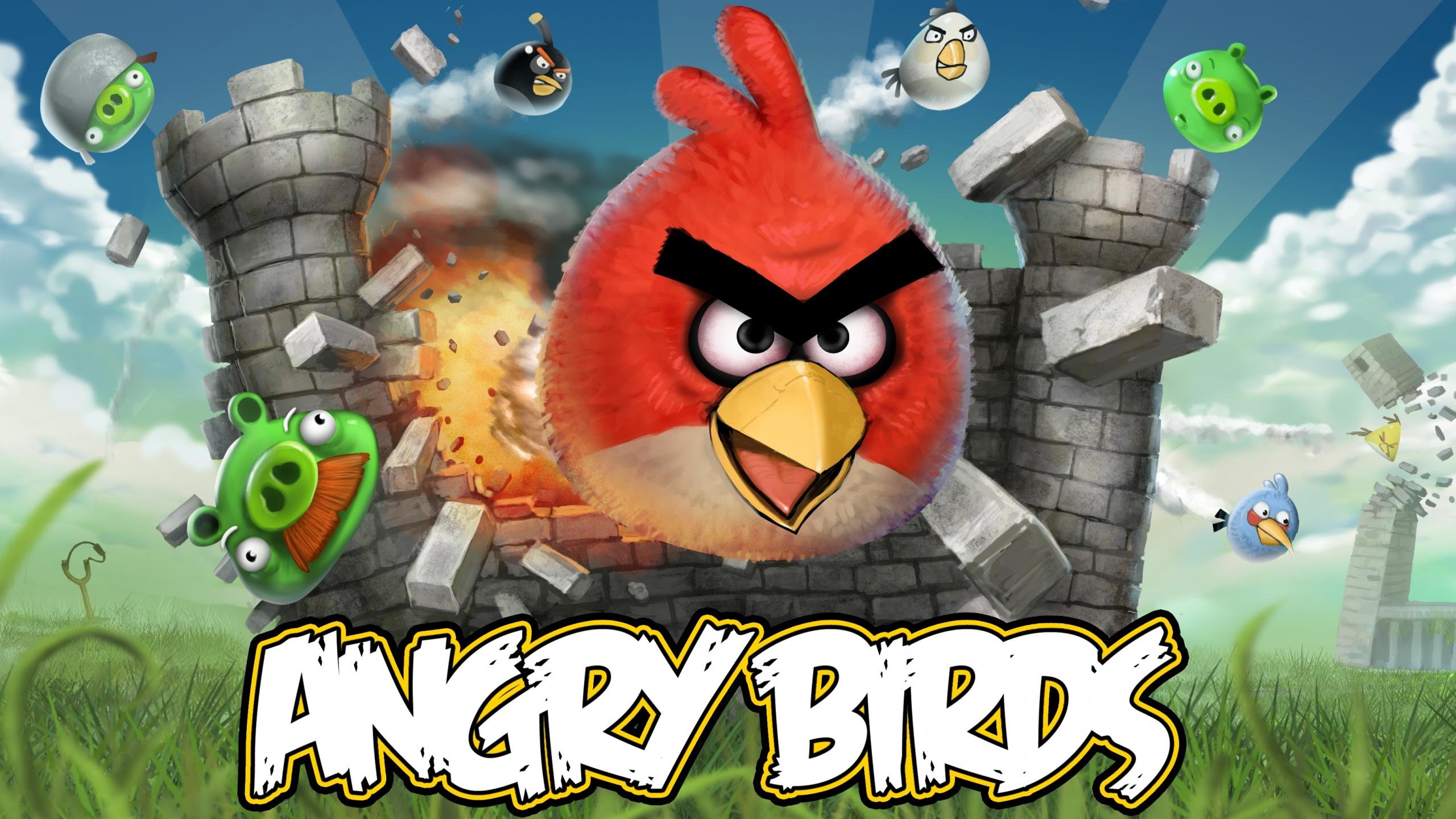 Free Angry Birds high quality wallpaper ID:256660 for hd 2560x1440 computer