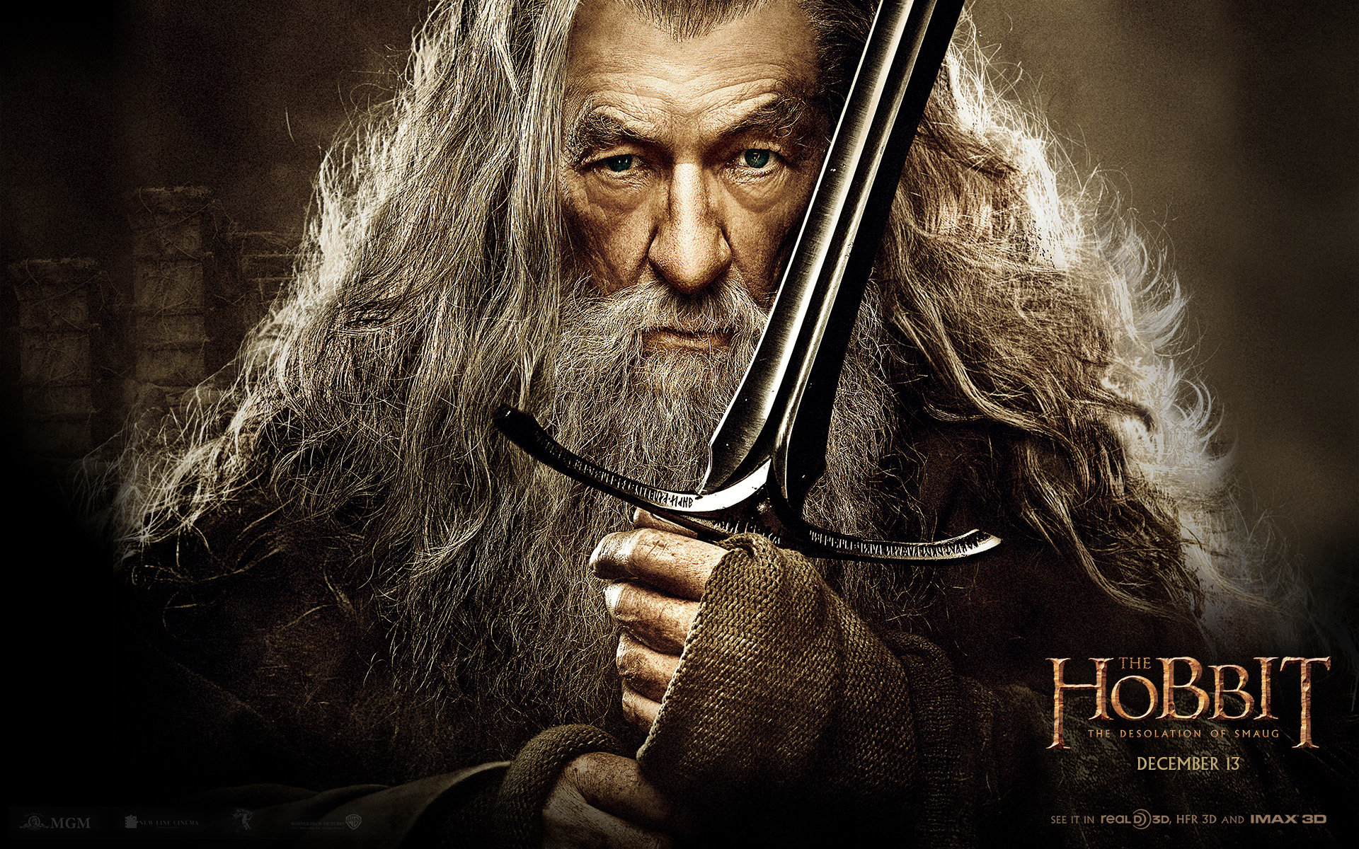 Free The Hobbit: The Desolation Of Smaug high quality wallpaper ID:397843 for hd 1920x1200 PC