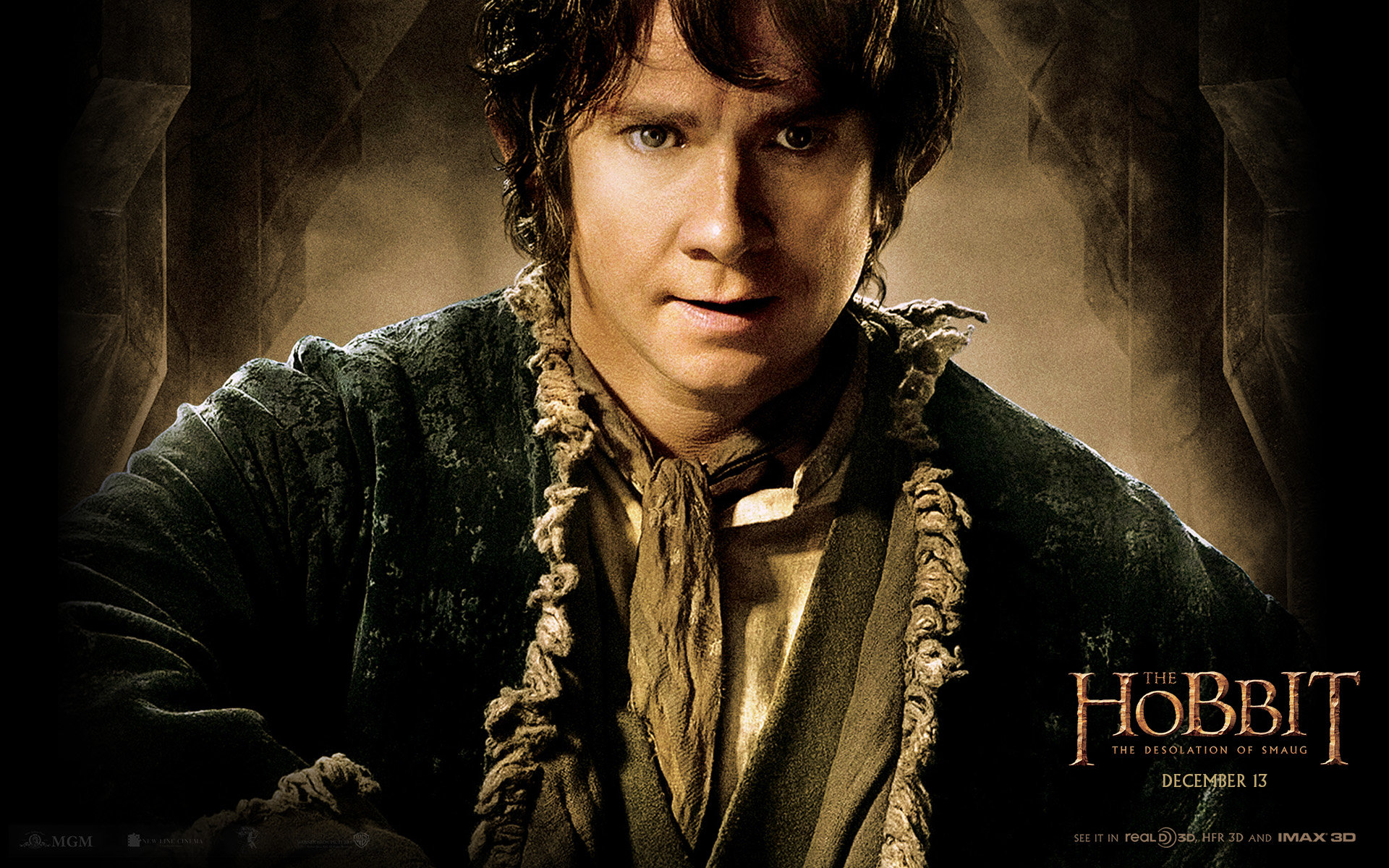 High resolution The Hobbit: The Desolation Of Smaug hd 1920x1200 wallpaper ID:397858 for computer