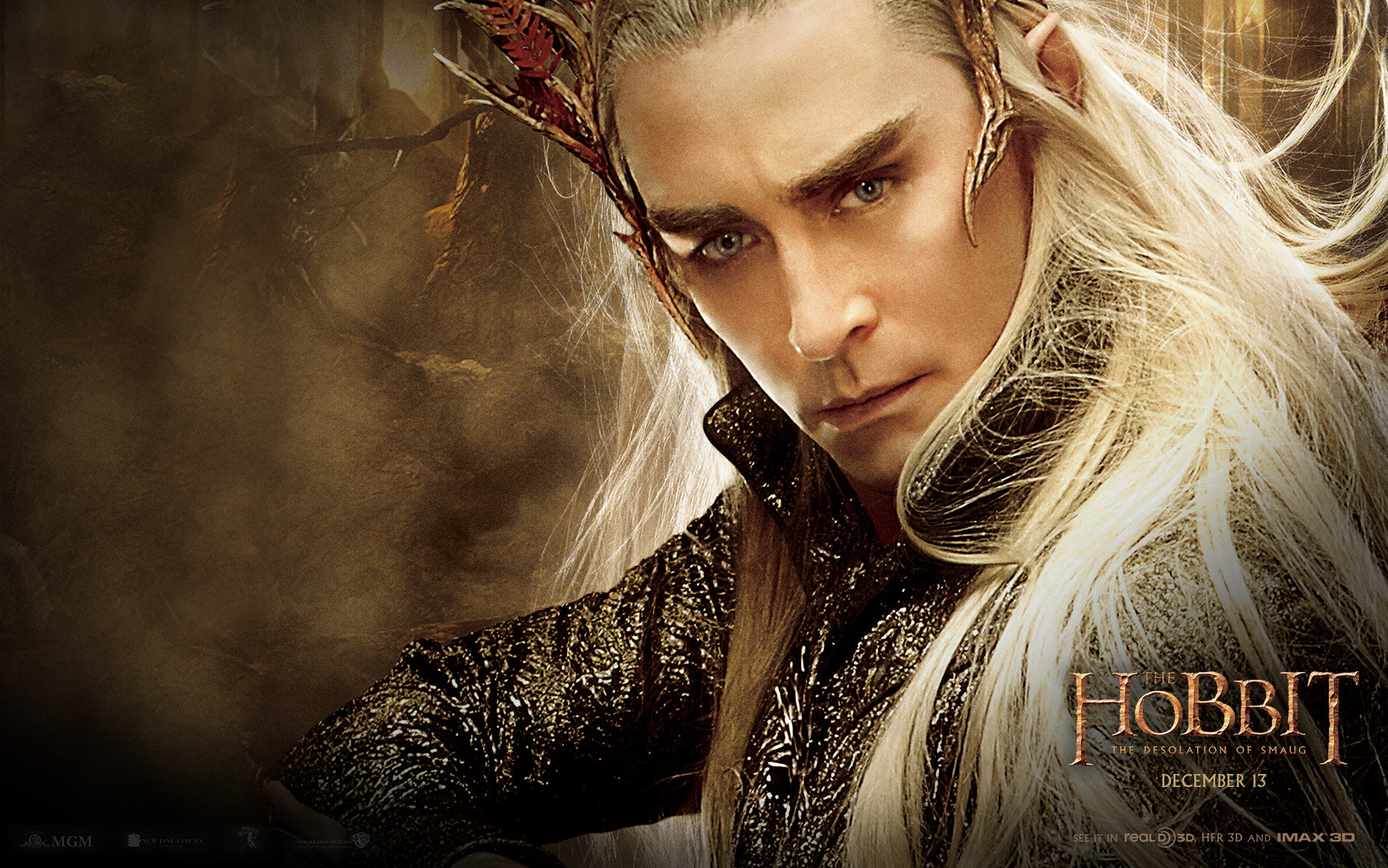 Best The Hobbit: The Desolation Of Smaug wallpaper ID:397863 for High Resolution hd 1920x1200 PC