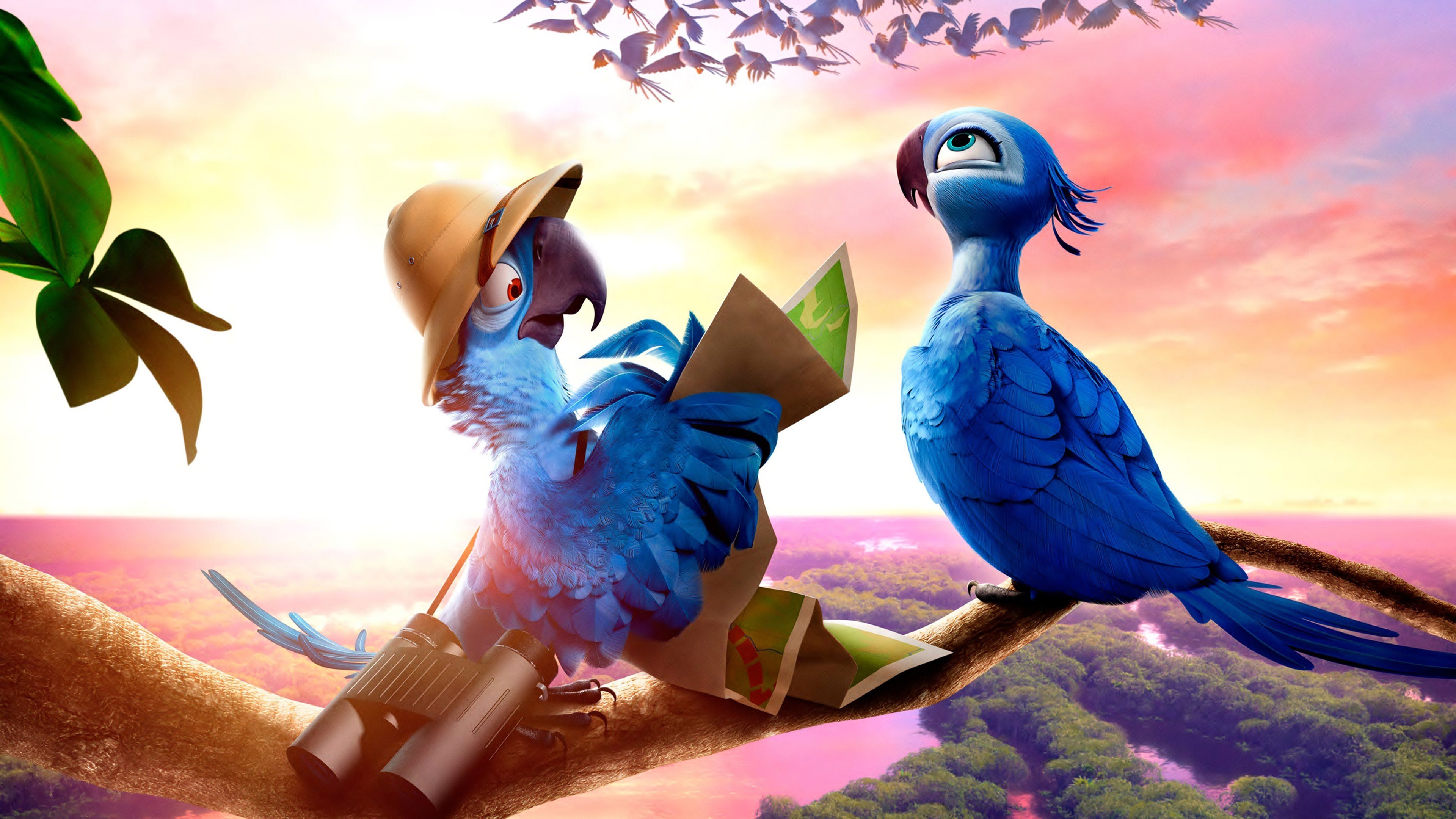 Download 4k Rio 2 PC background ID:307549 for free