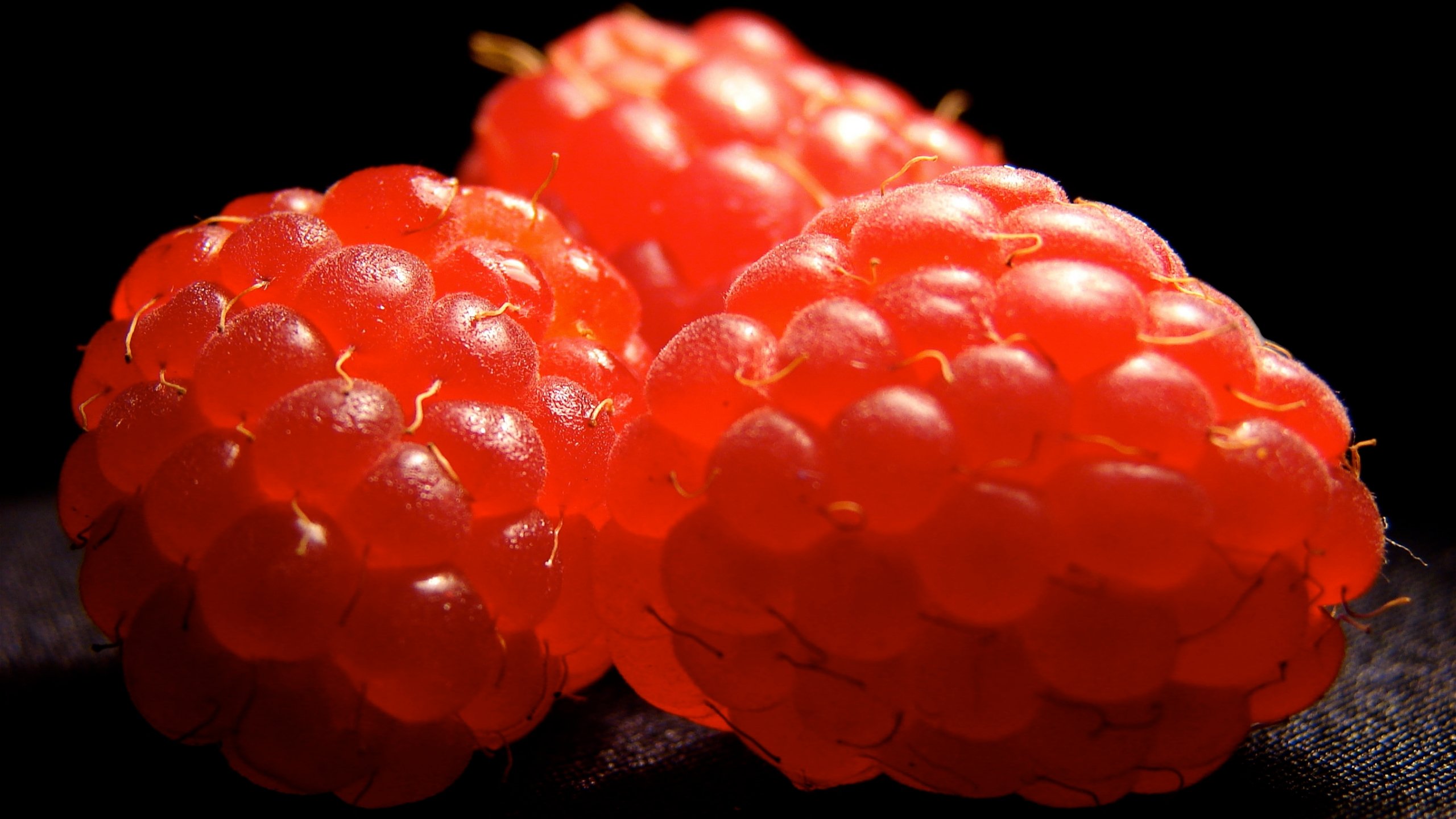 Free download Raspberry wallpaper ID:50128 hd 2560x1440 for computer
