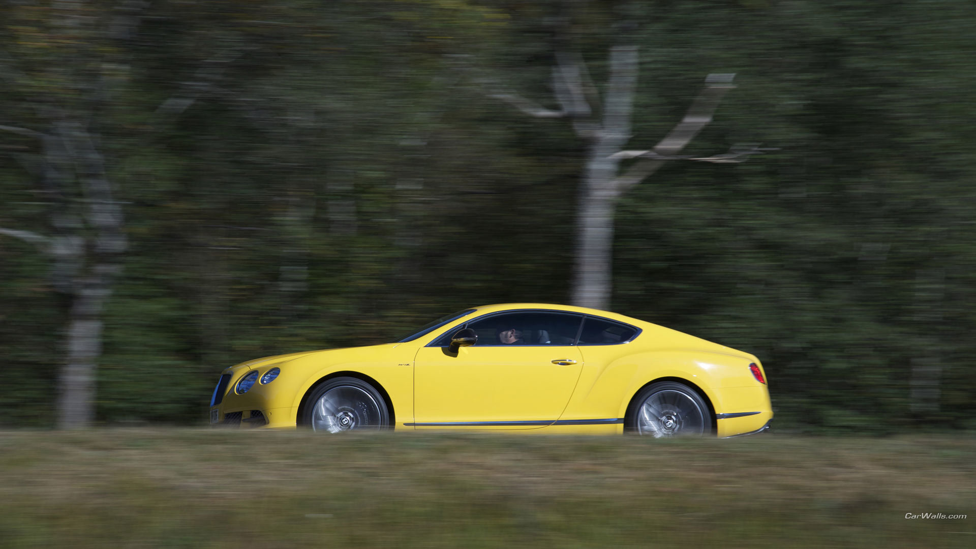 Best Bentley Continental GT background ID:465073 for High Resolution full hd 1080p desktop