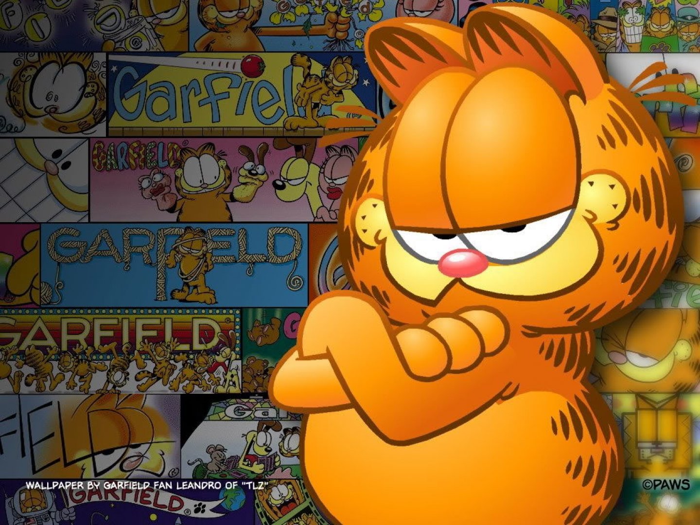 Free Garfield high quality background ID:321152 for hd 1440x1080 computer