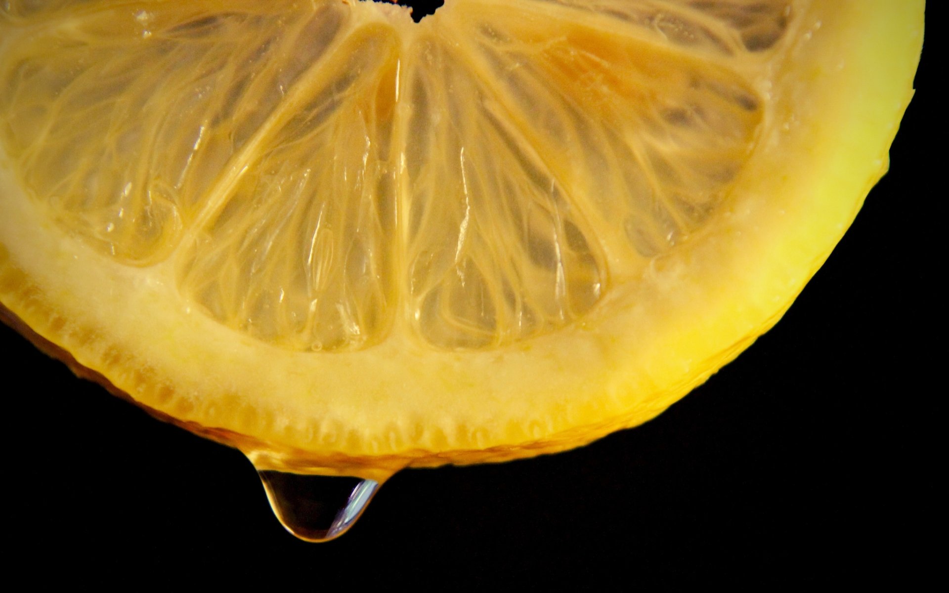 Best Lemon background ID:10279 for High Resolution hd 1920x1200 computer
