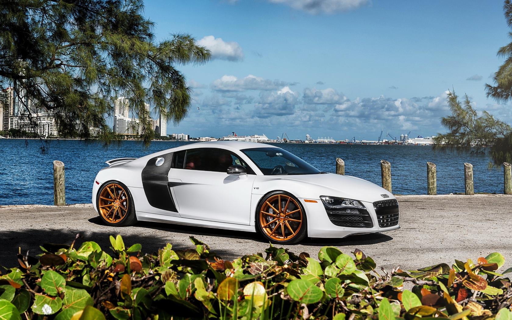 Awesome Audi R8 free background ID:452735 for hd 1680x1050 desktop