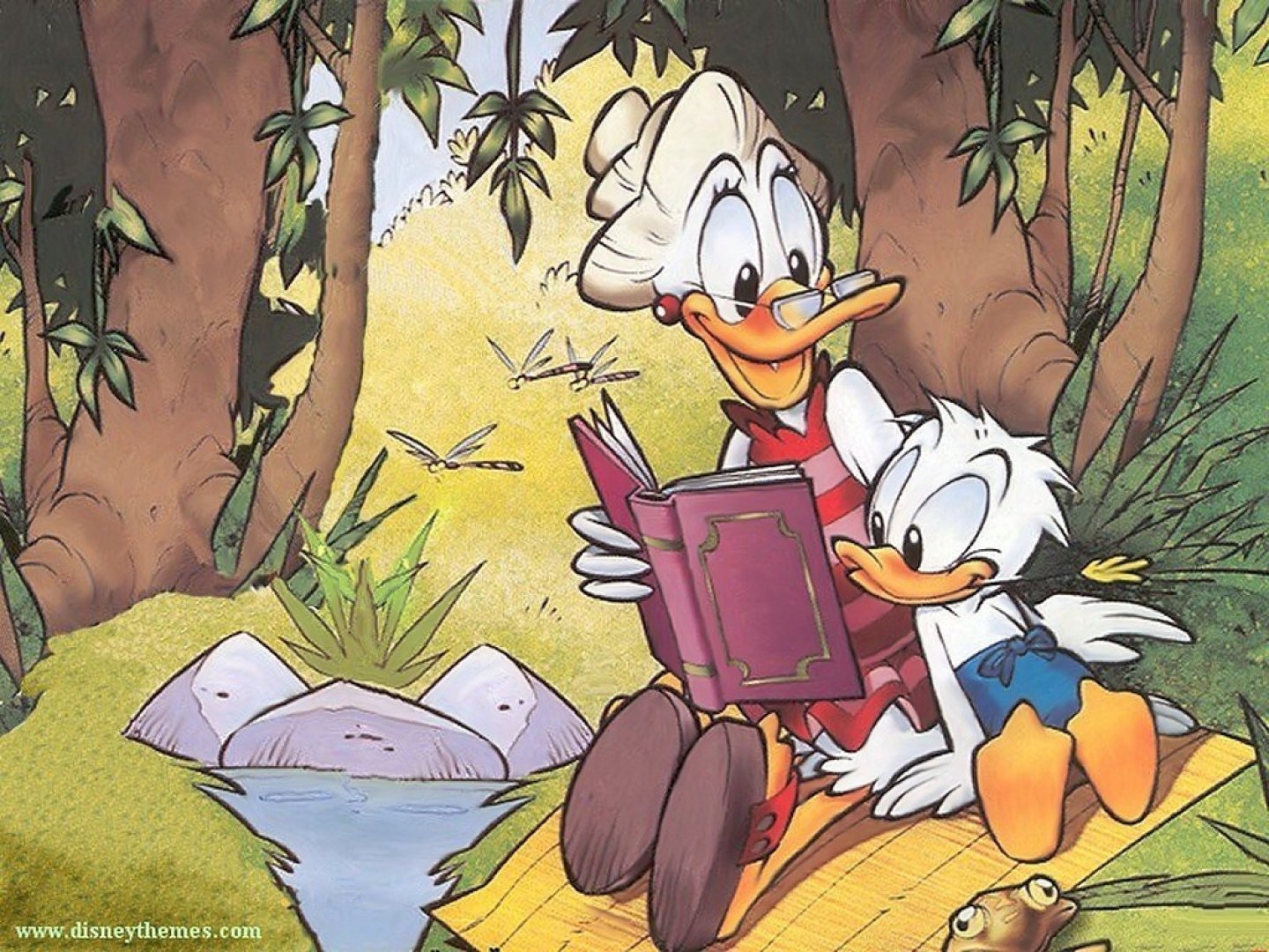 Best Donald Duck background ID:215970 for High Resolution hd 1440x1080 computer
