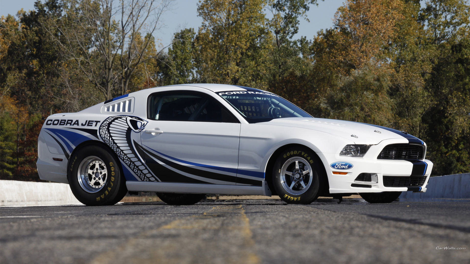Free Ford Mustang Cobra Jet Twin-turbo high quality wallpaper ID:239779 for 1080p desktop