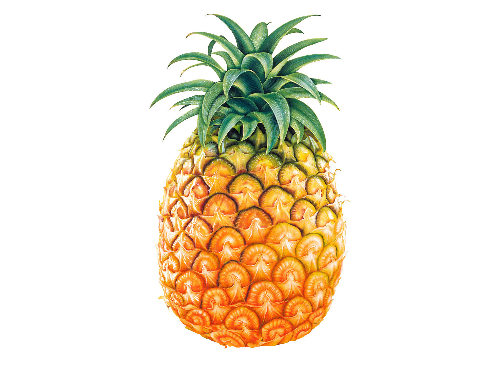Awesome Pineapple free background ID:291145 for hd 1600x1200 computer