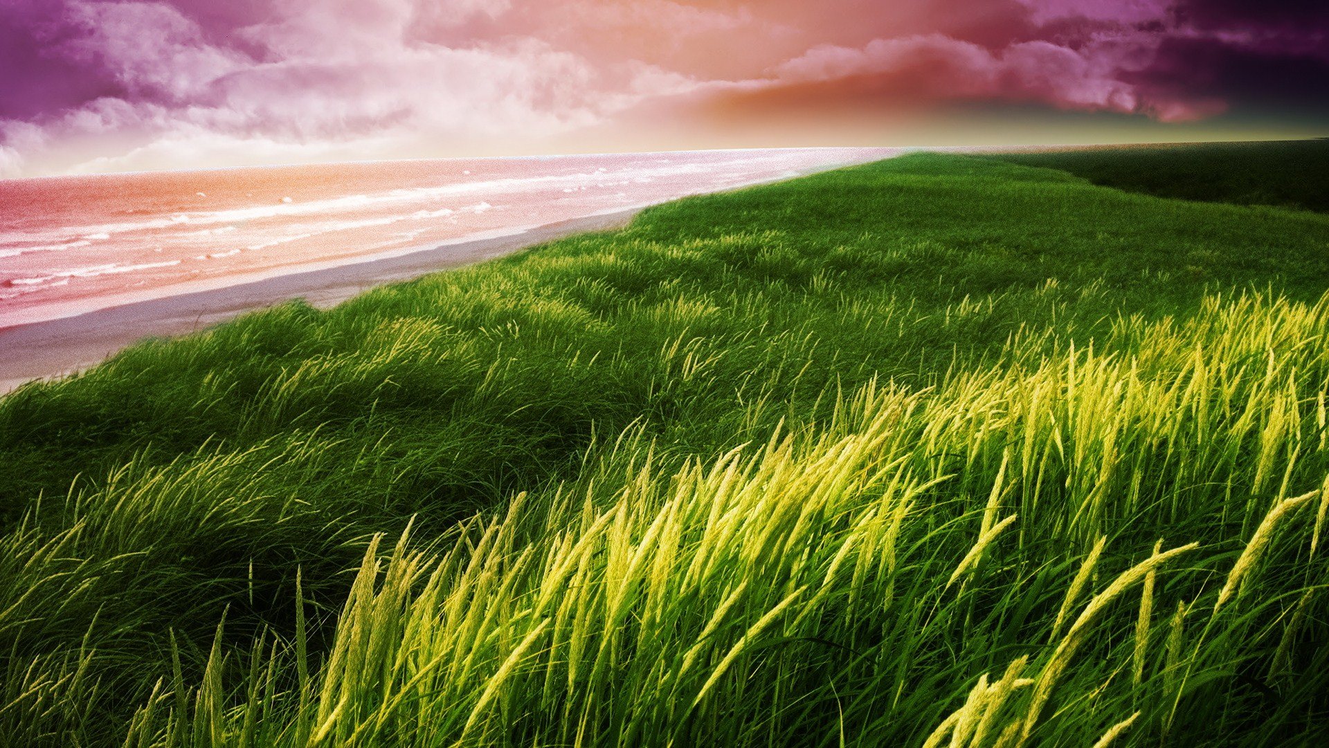 Awesome Grass free background ID:378002 for full hd 1080p desktop