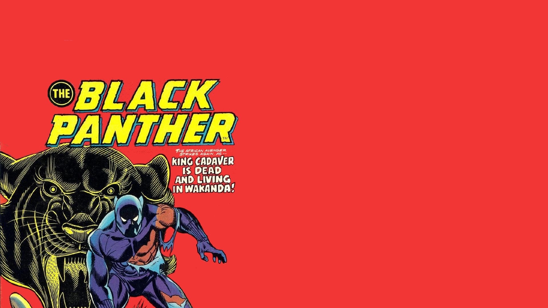 Free Black Panther (Marvel) high quality background ID:341861 for hd 1920x1080 PC