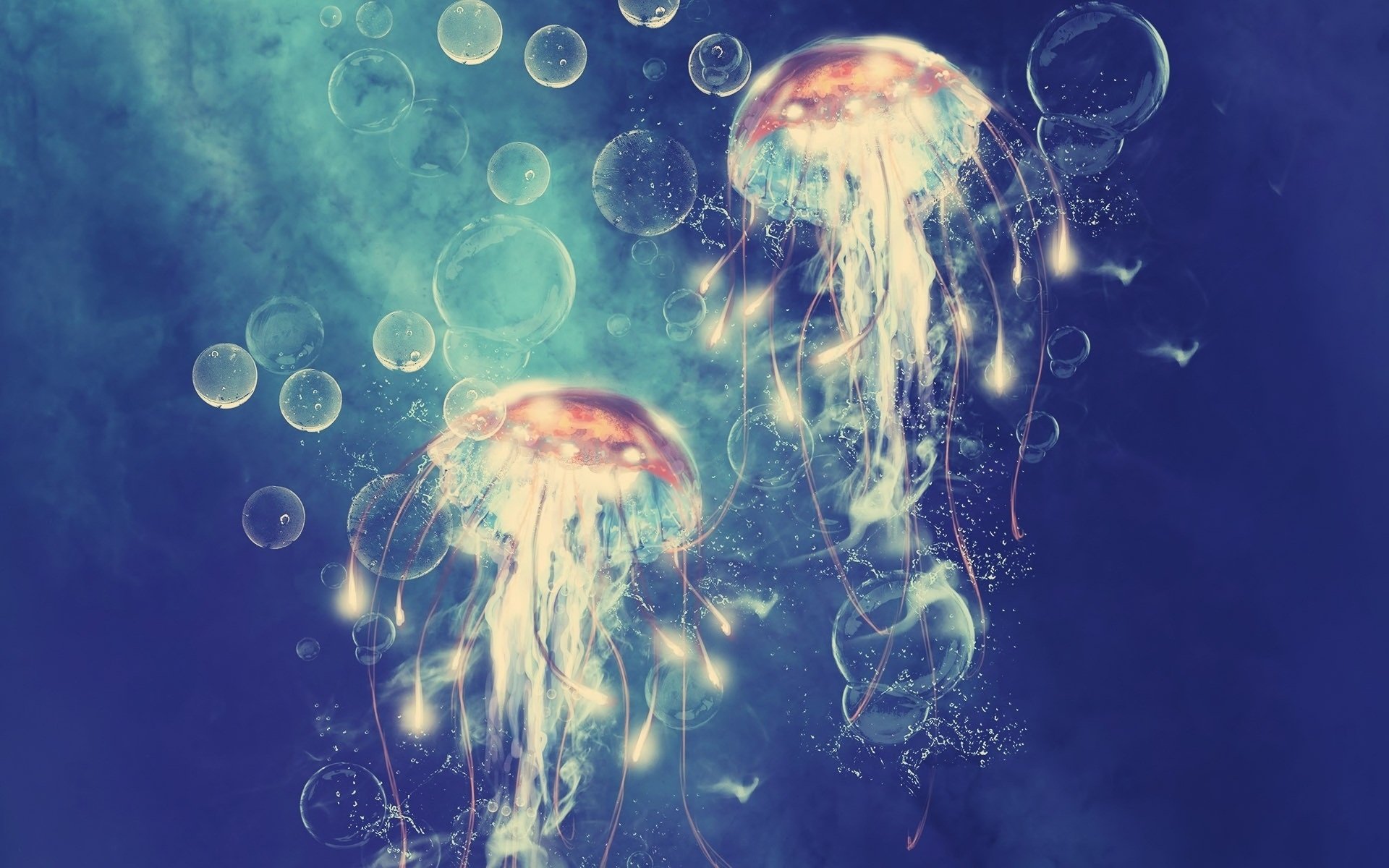 High resolution Jellyfish hd 1920x1200 wallpaper ID:199669 for computer