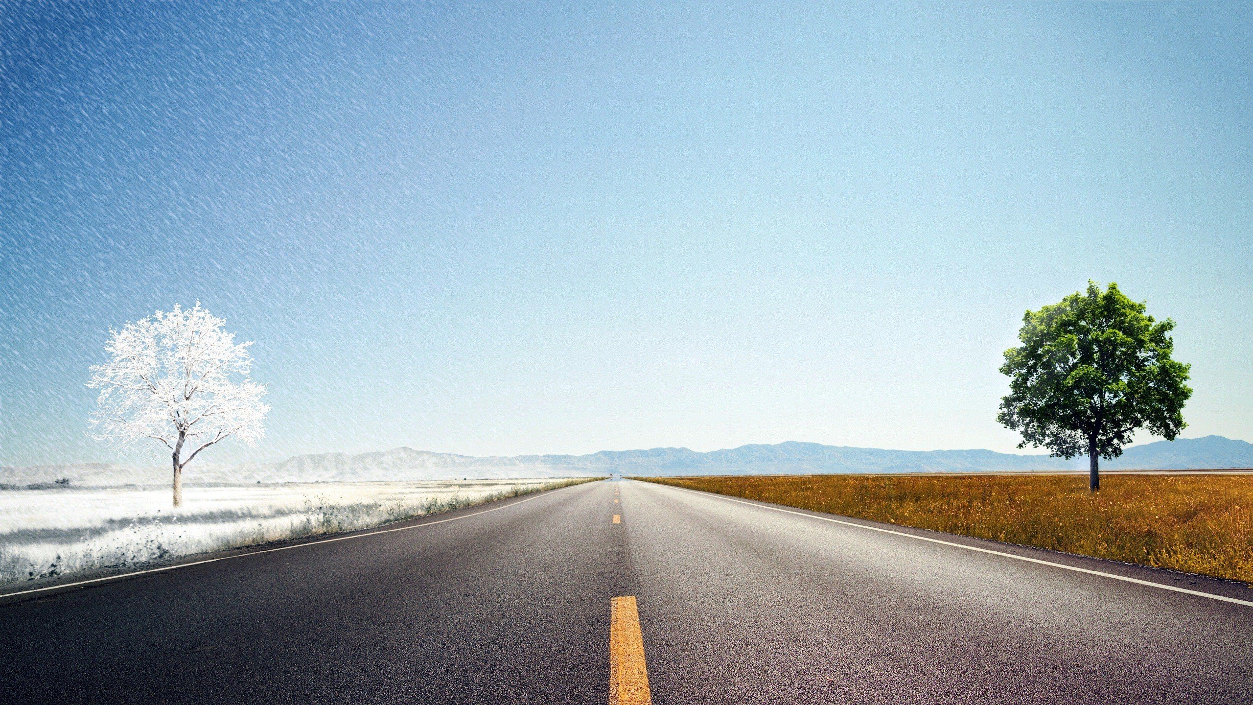 Awesome Road free background ID:491224 for hd 2560x1440 computer
