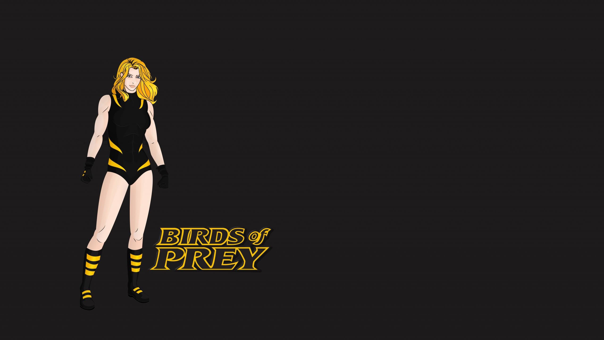 Download hd 2560x1440 Birds Of Prey PC background ID:69321 for free