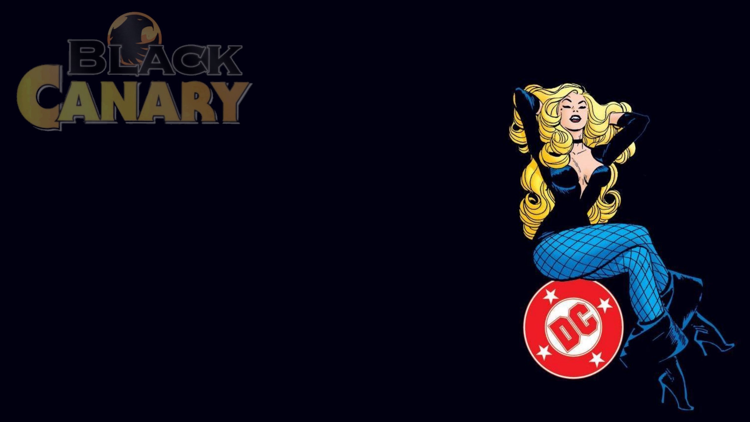 Awesome Black Canary free wallpaper ID:365861 for hd 2560x1440 desktop