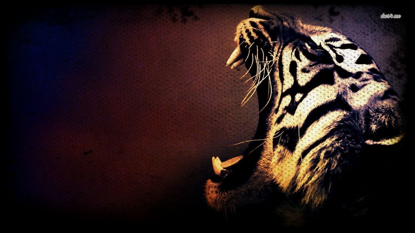 Download 1366x768 laptop Tiger computer background ID:115954 for free