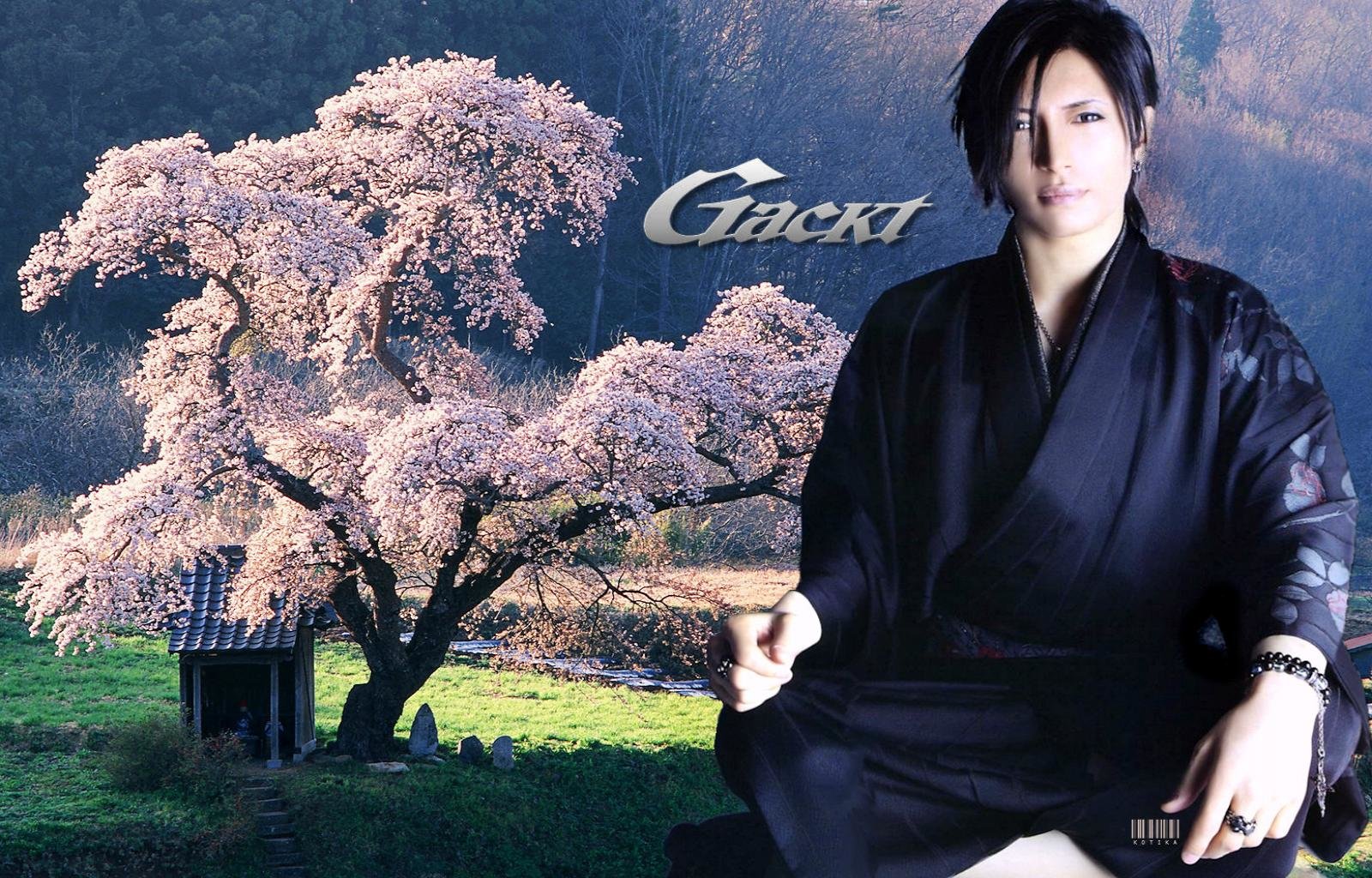 Download hd 1600x1024 Gackt PC background ID:272026 for free