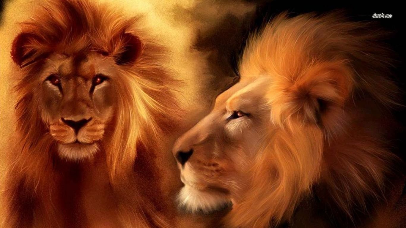 Free download Lion background ID:255265 1366x768 laptop for PC