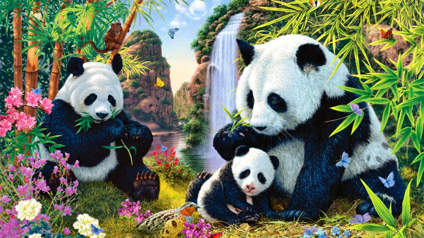 Best Panda background ID:300400 for High Resolution hd 1366x768 desktop