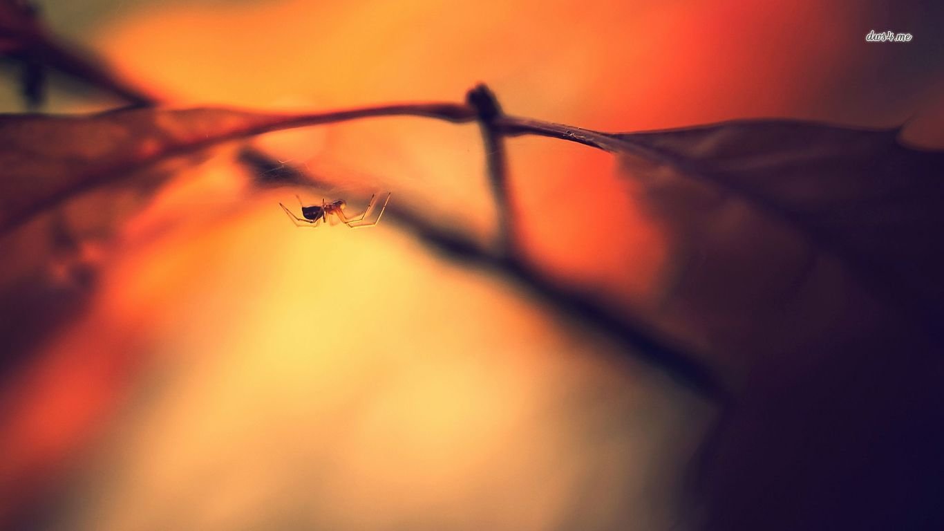 Awesome Spider free wallpaper ID:22362 for hd 1366x768 PC