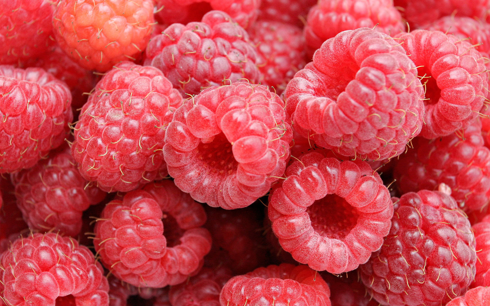 Awesome Raspberry free background ID:50086 for hd 1680x1050 computer