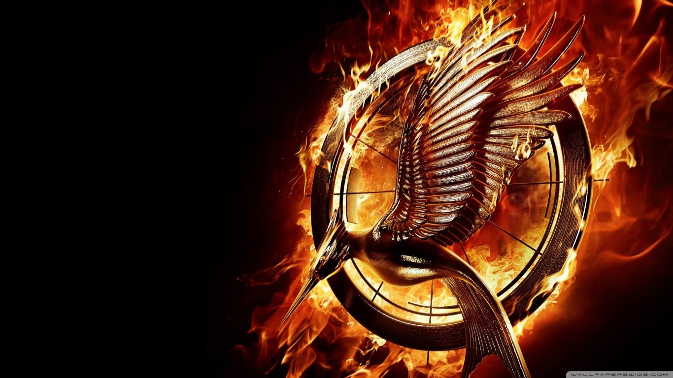 Best The Hunger Games: Catching Fire wallpaper ID:403357 for High Resolution hd 1366x768 desktop