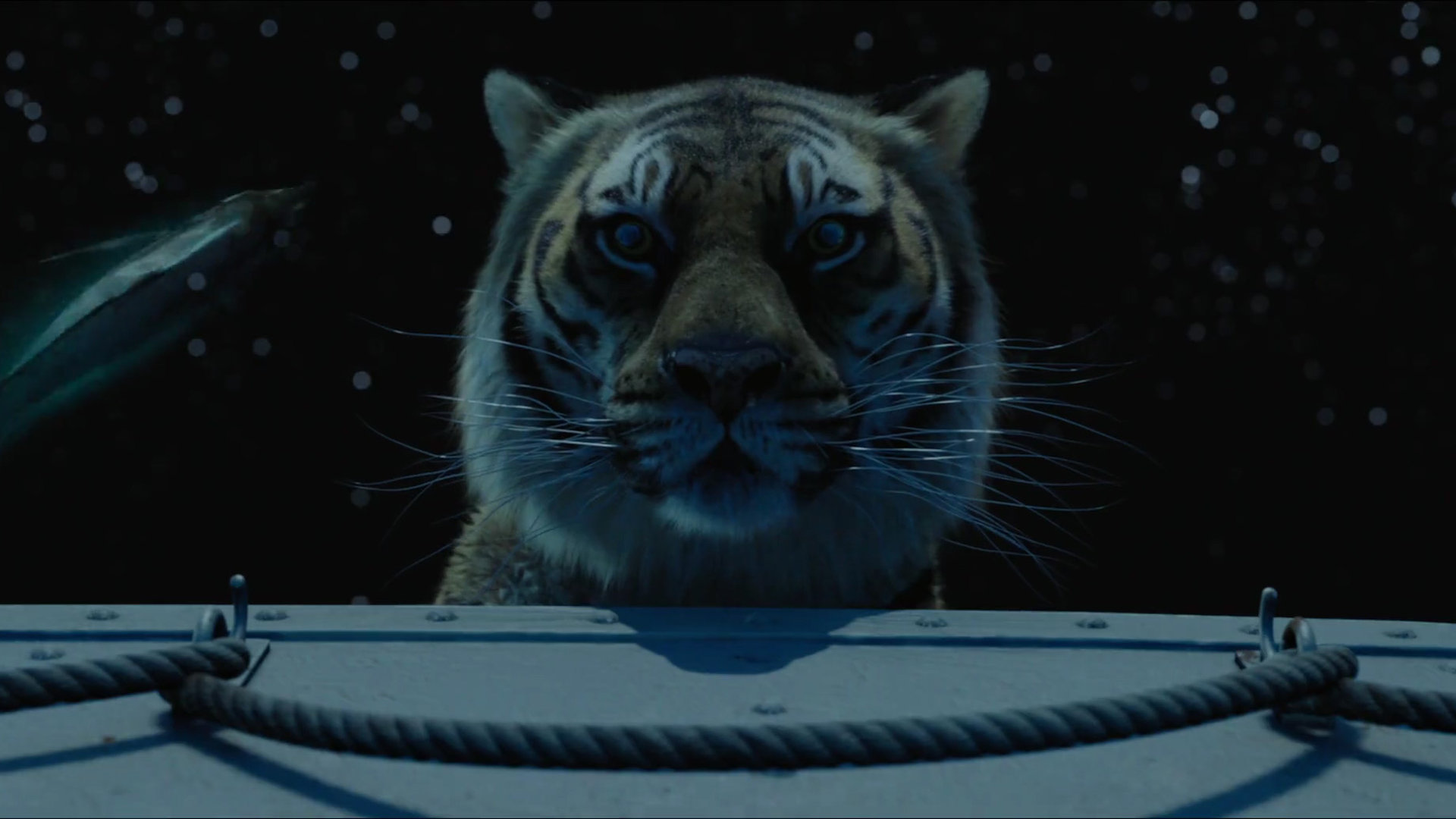 High resolution Life Of Pi full hd 1080p background ID:363607 for desktop