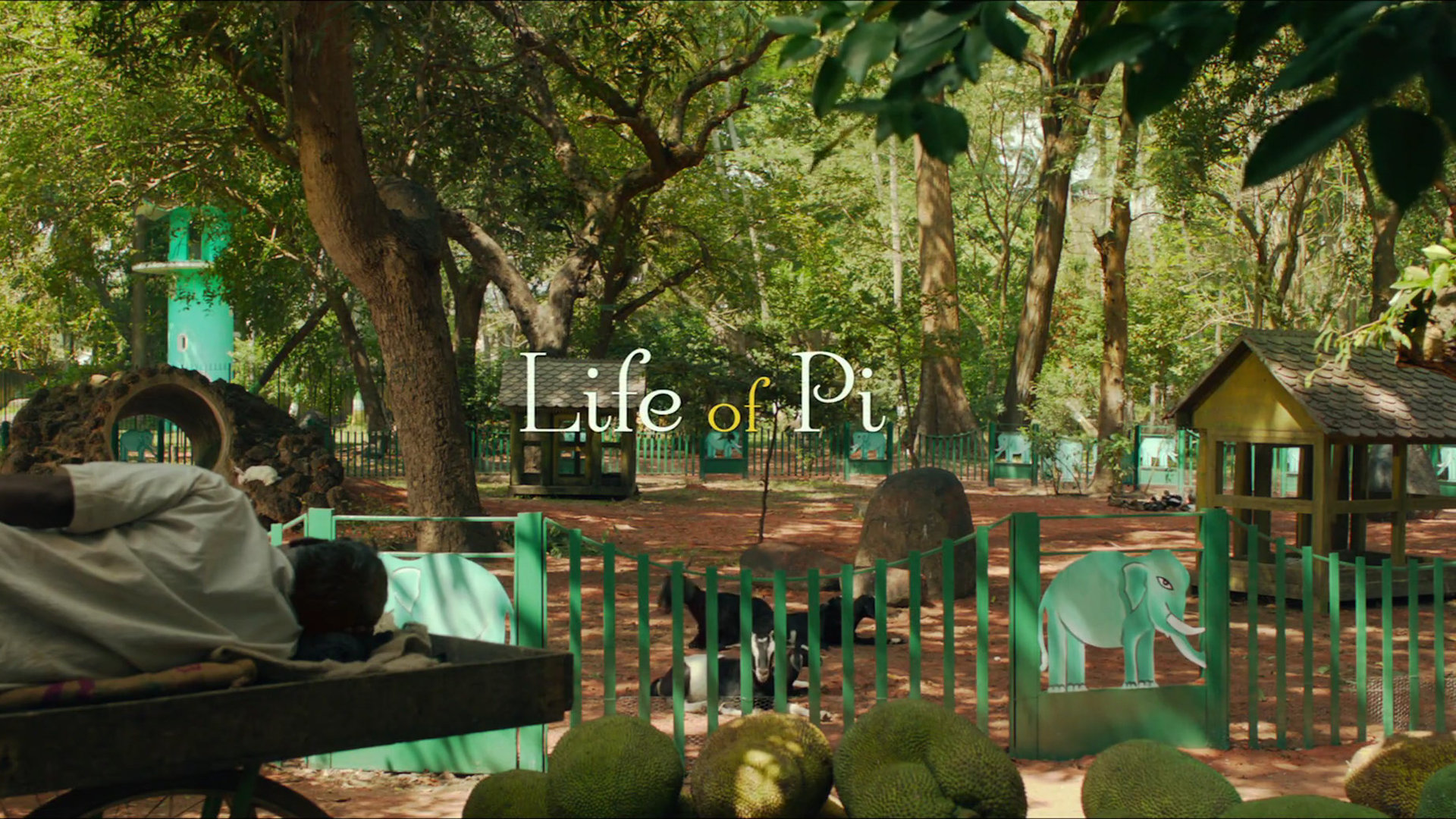 Awesome Life Of Pi free wallpaper ID:363596 for full hd computer