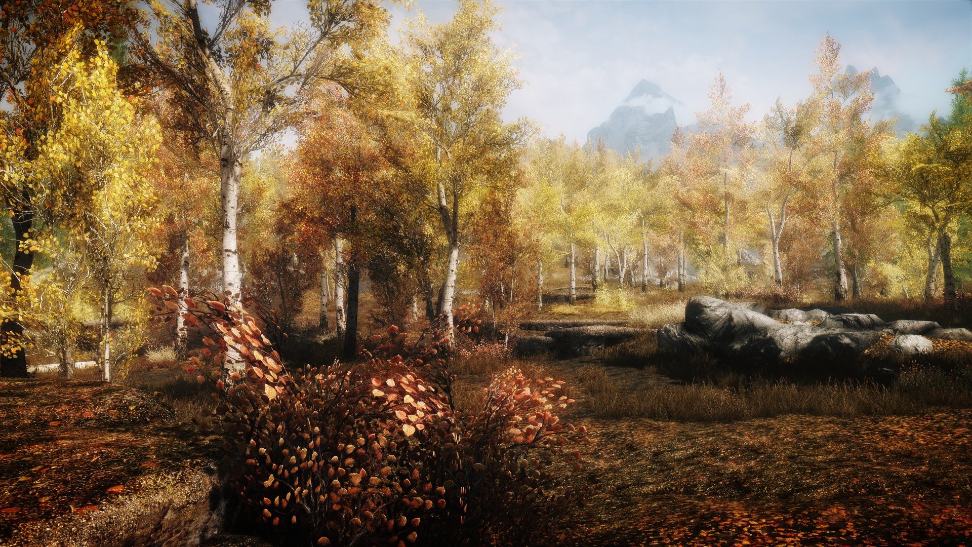 Download 1080p Skyrim computer wallpaper ID:119777 for free