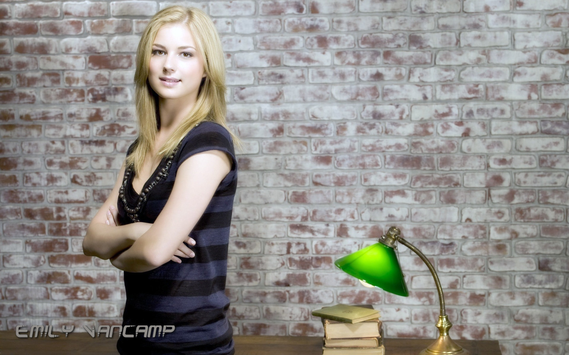 Awesome Emily VanCamp free wallpaper ID:198292 for hd 1920x1200 desktop