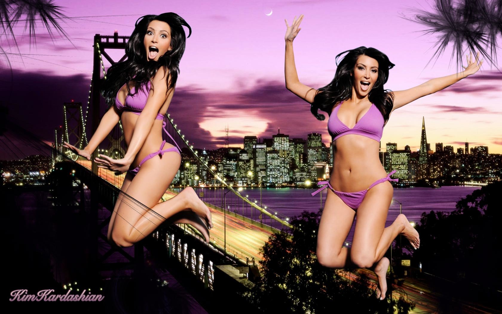 Free Kim Kardashian high quality background ID:57646 for hd 1680x1050 PC