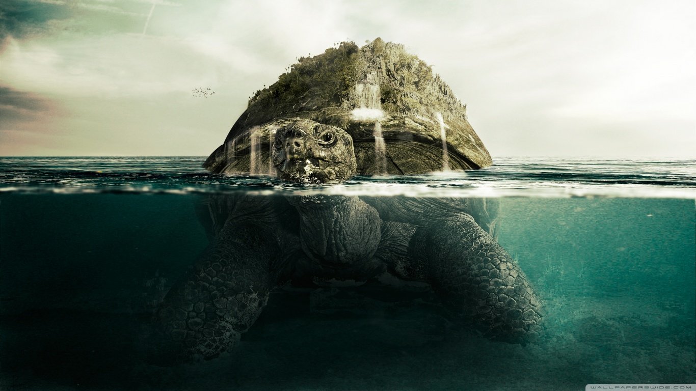 Best Turtle Fantasy wallpaper ID:373794 for High Resolution 1366x768 laptop computer