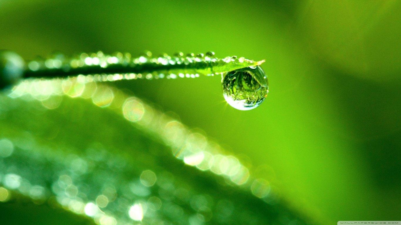 Free download Water Drop wallpaper ID:430214 laptop for PC