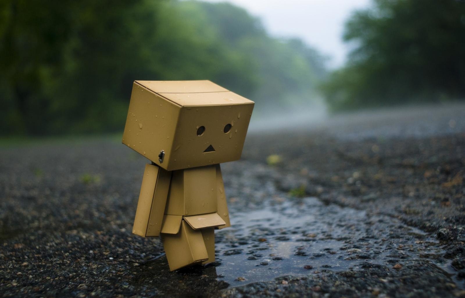 Download hd 1600x1024 Danbo PC background ID:30335 for free