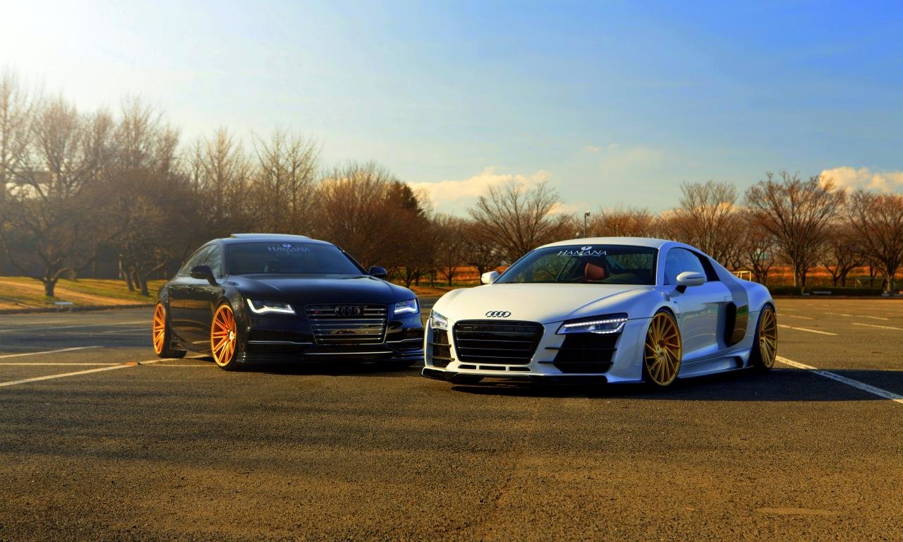 Free Audi R8 high quality background ID:452740 for hd 1280x768 PC