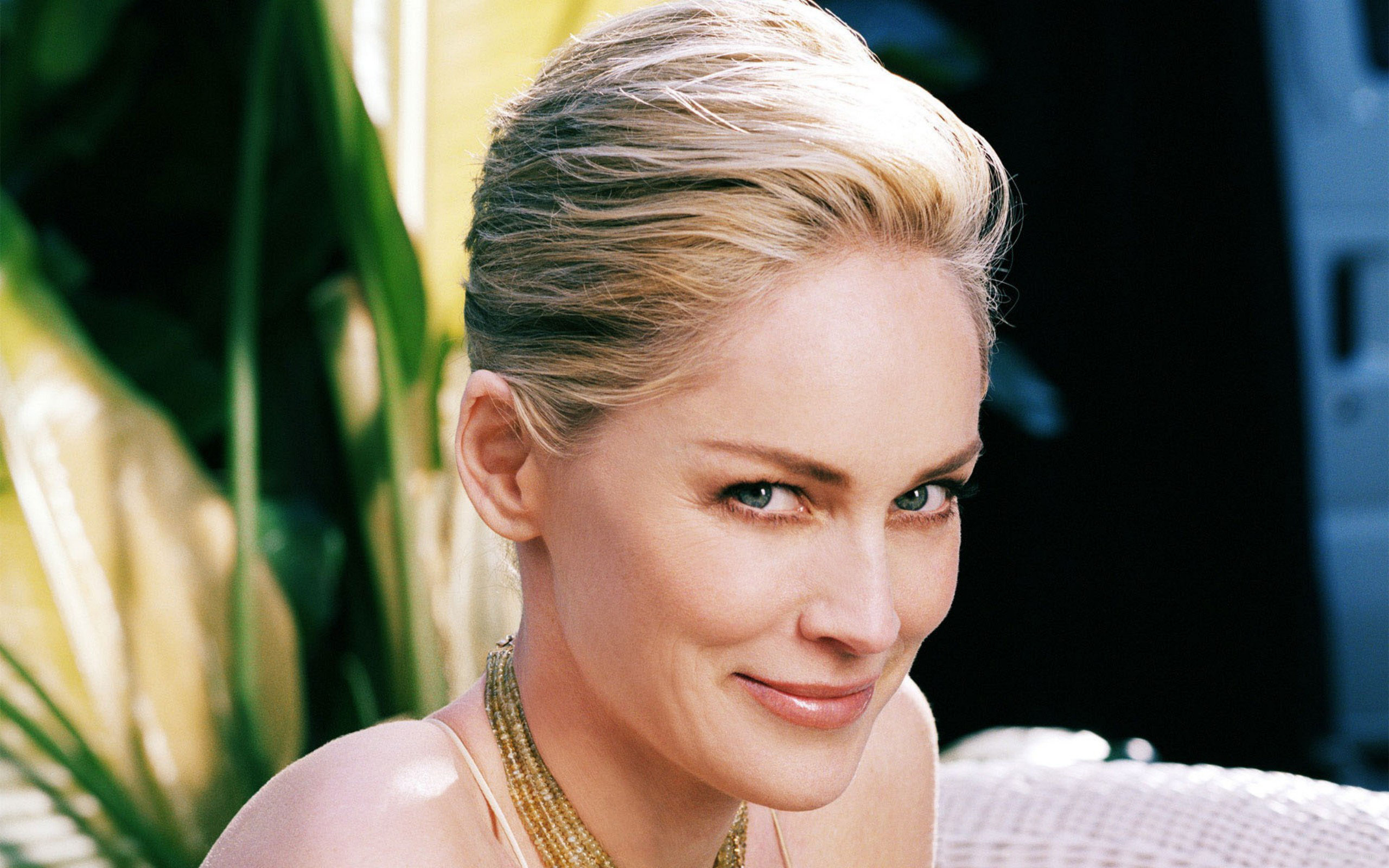 High resolution Sharon Stone hd 2560x1600 wallpaper ID:54678 for PC