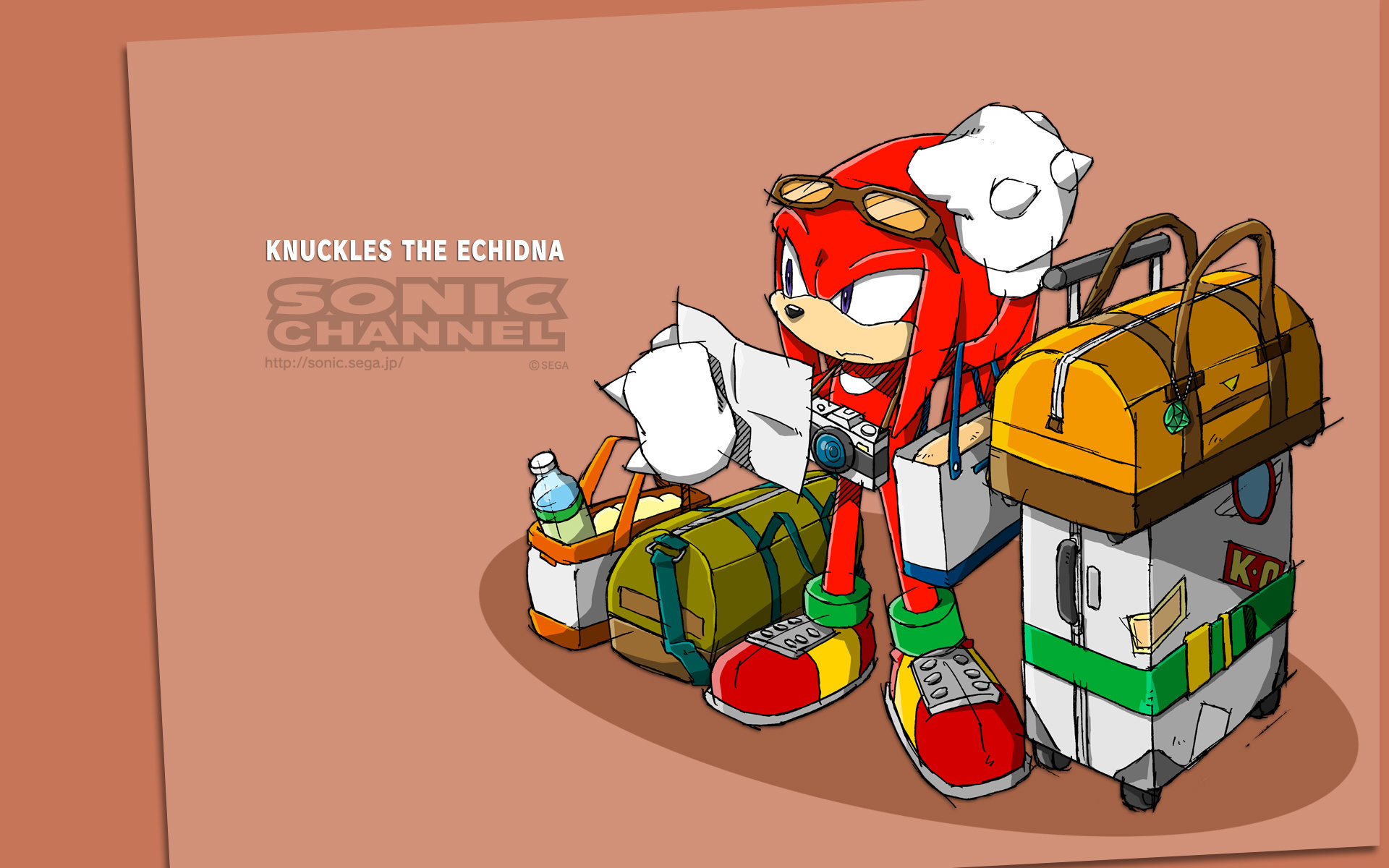 Best Knuckles The Echidna wallpaper ID:52207 for High Resolution hd 1920x1200 computer