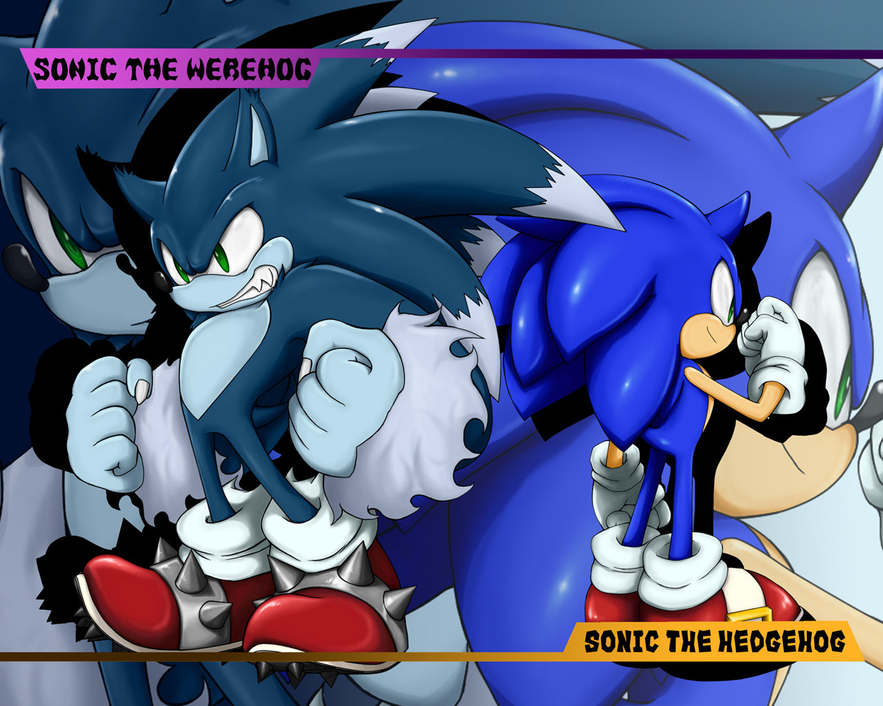 sonic unleashed wallpapers