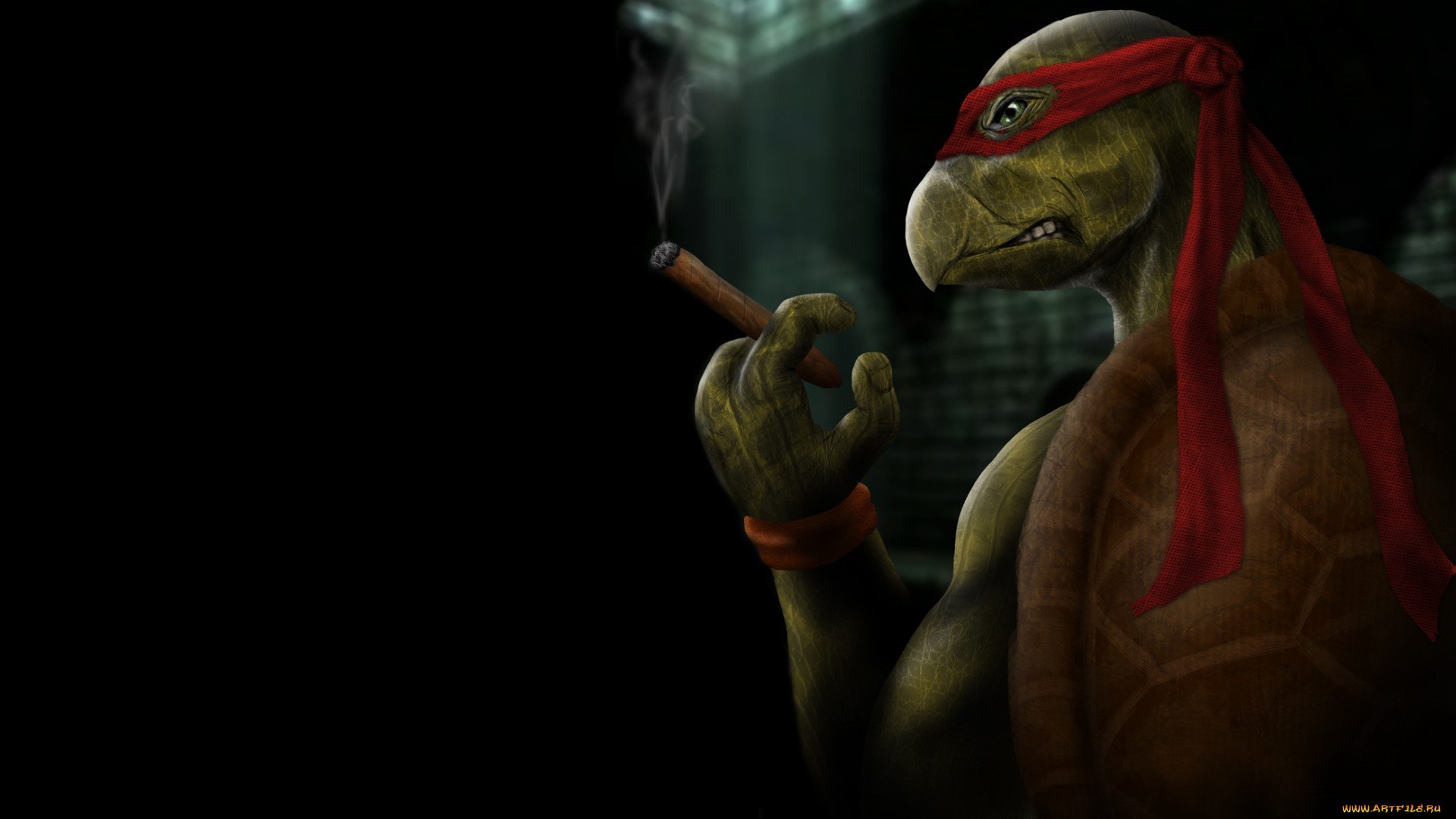 Best Teenage Mutant Ninja Turtles (TMNT) background ID:111304 for High Resolution full hd PC