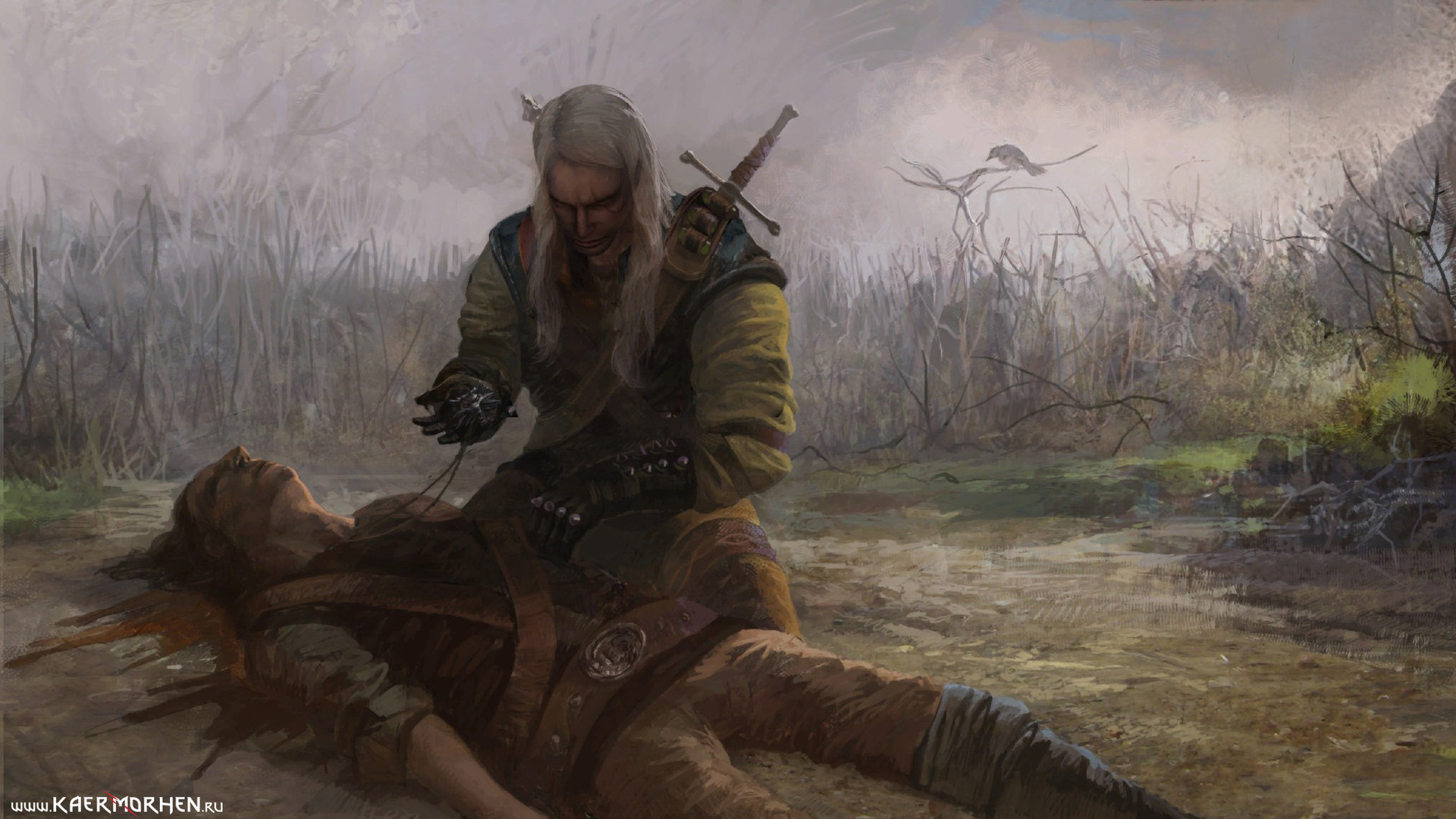 Download hd 1920x1080 The Witcher computer wallpaper ID:130100 for free