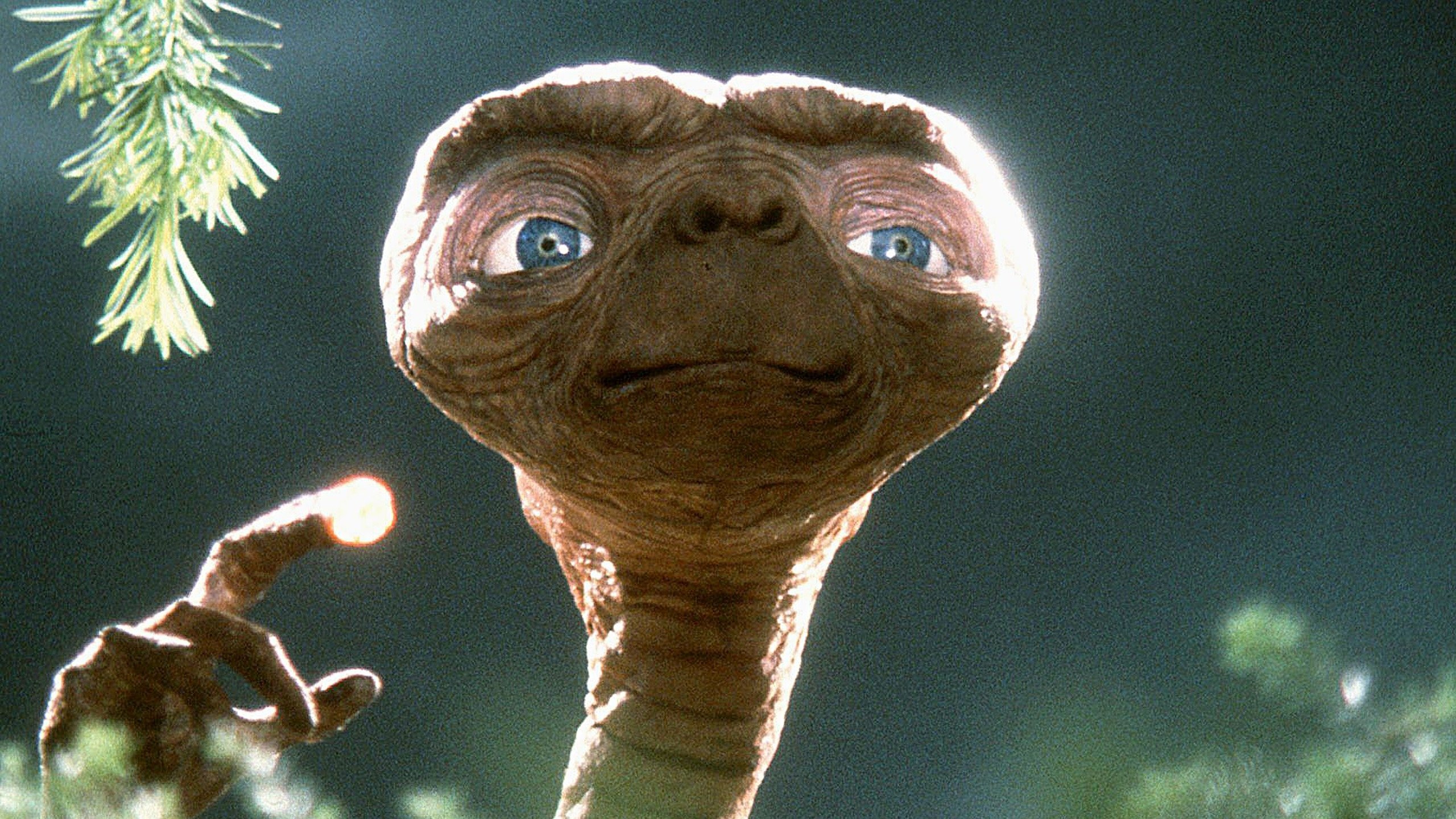 Download hd 2560x1440 E.T. The Extra-Terrestrial computer wallpaper ID:47092 for free