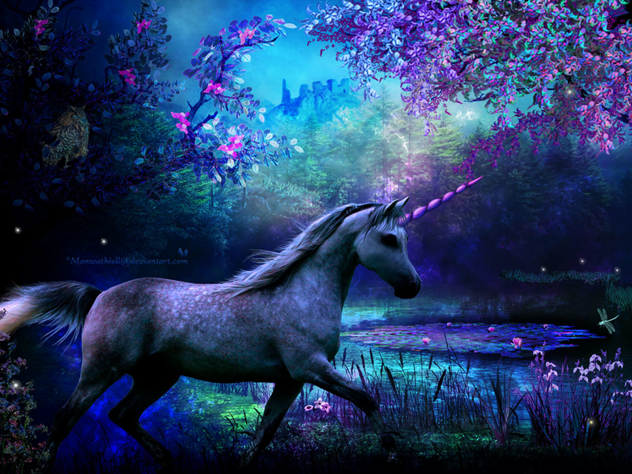 Best Unicorn background ID:408727 for High Resolution hd 1280x960 desktop