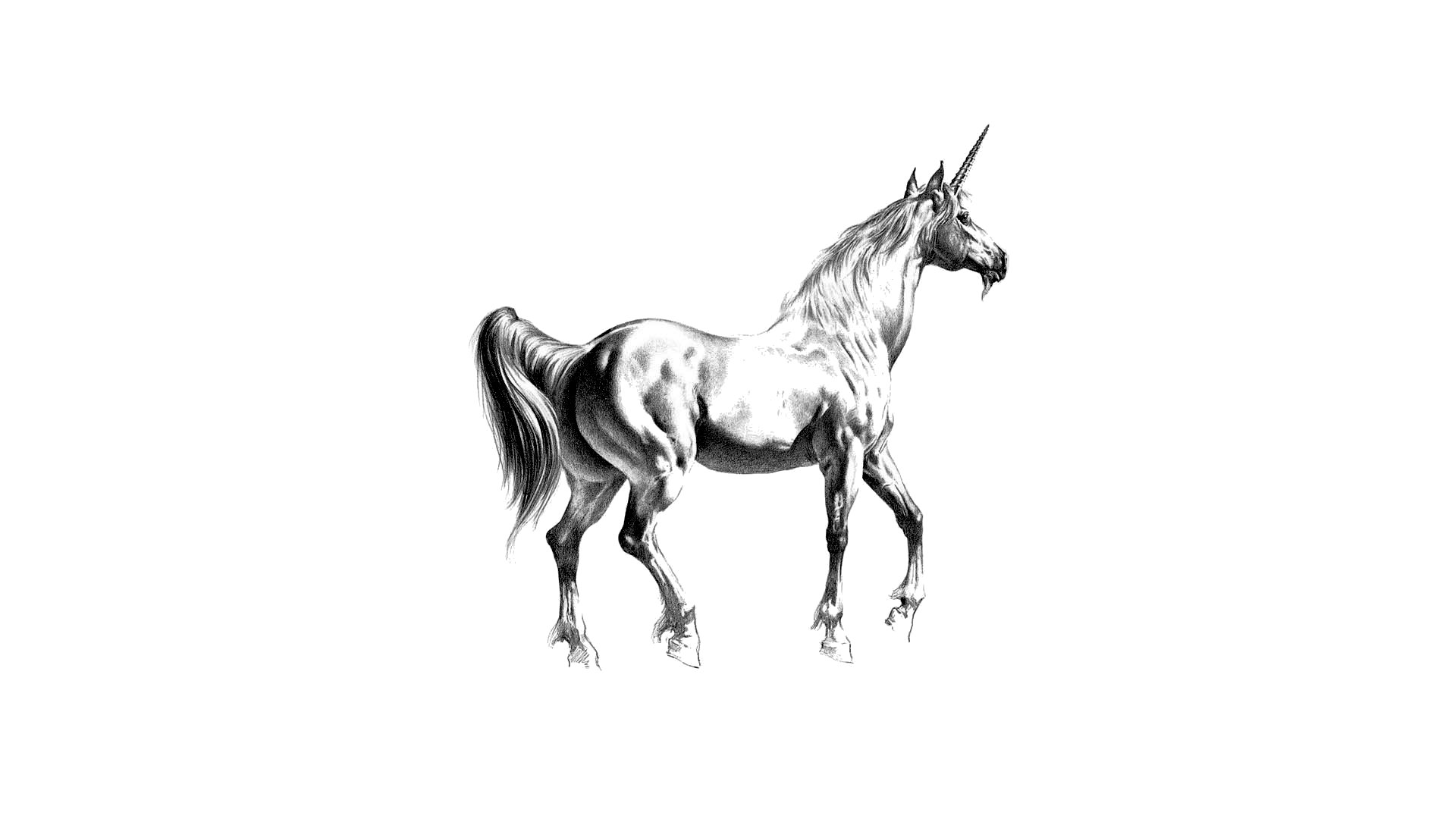 Best Unicorn wallpaper ID:408682 for High Resolution 1080p PC